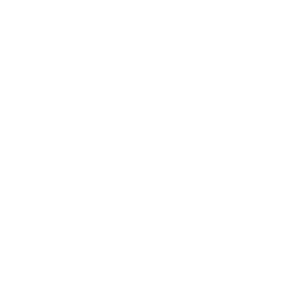 ホームページ用写真撮影